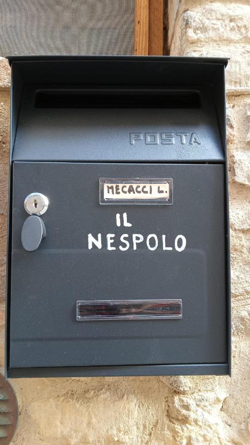 Appartamento Il Nespolo San Gimignano Zewnętrze zdjęcie